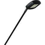 SLIMLINE LED FLOOD DISPLAY LIGHT