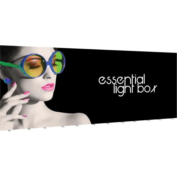 Back Options Vector Frame Essential Light Box Rectangle 06