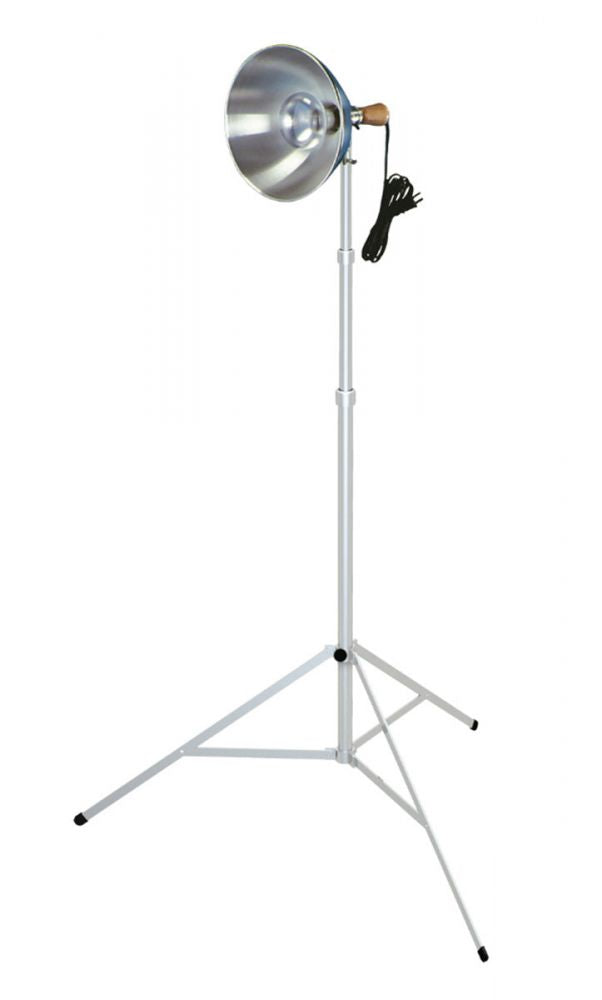 Exhibit and Studio Lighting