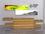 Lightboxes | Corporate Lobby