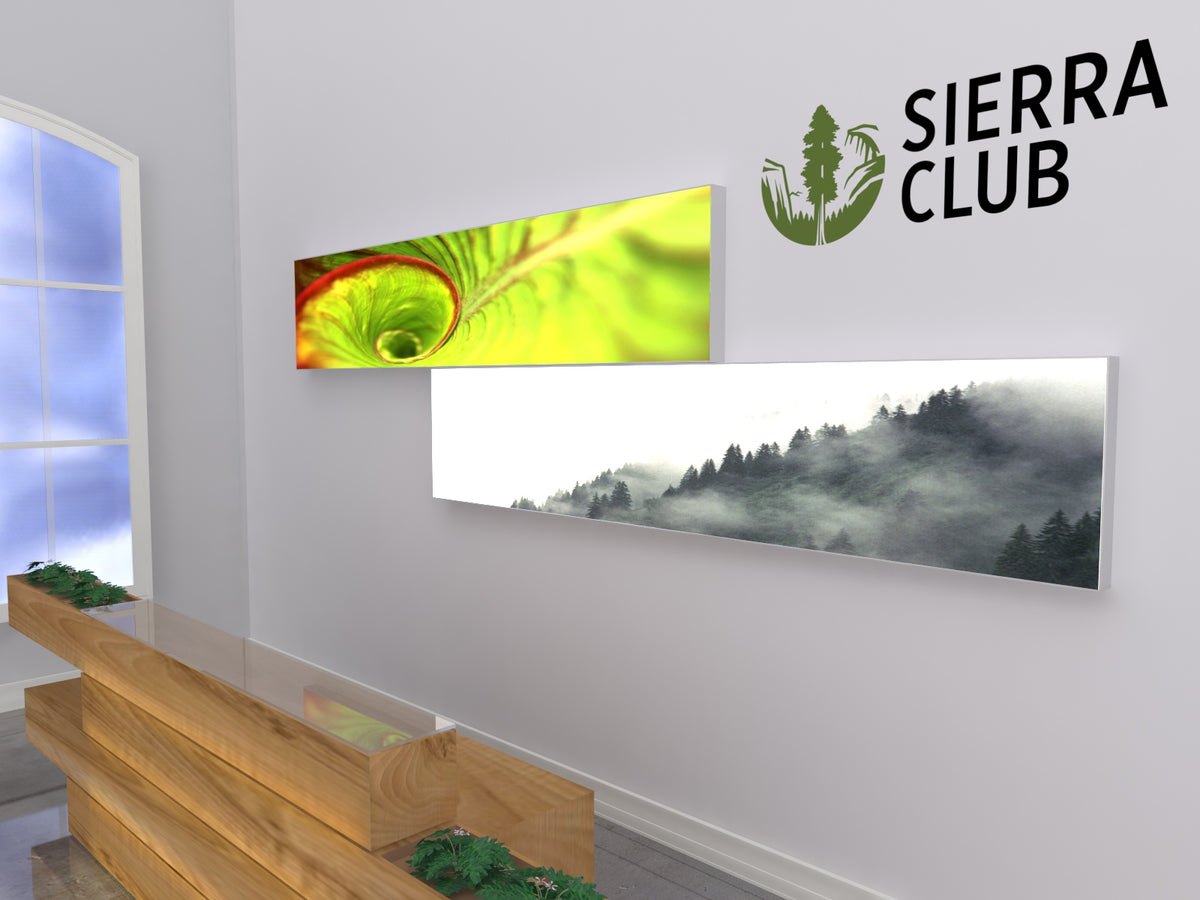 Lightboxes | Corporate Lobby