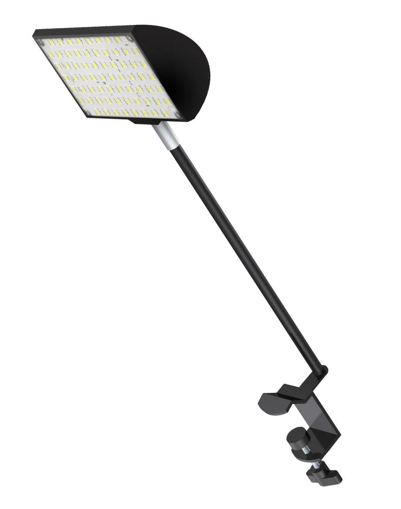 Exhibit and Studio Lighting