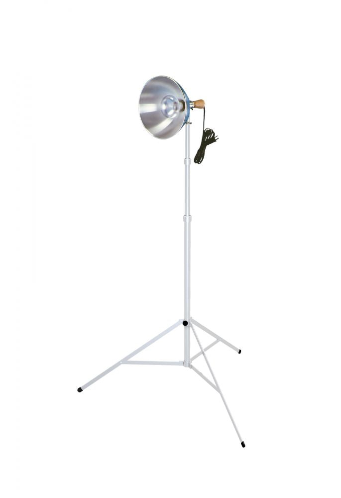 Exhibit and Studio Lighting