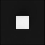 VECTOR FRAME MODULAR TOWER 03 (3' X 10')